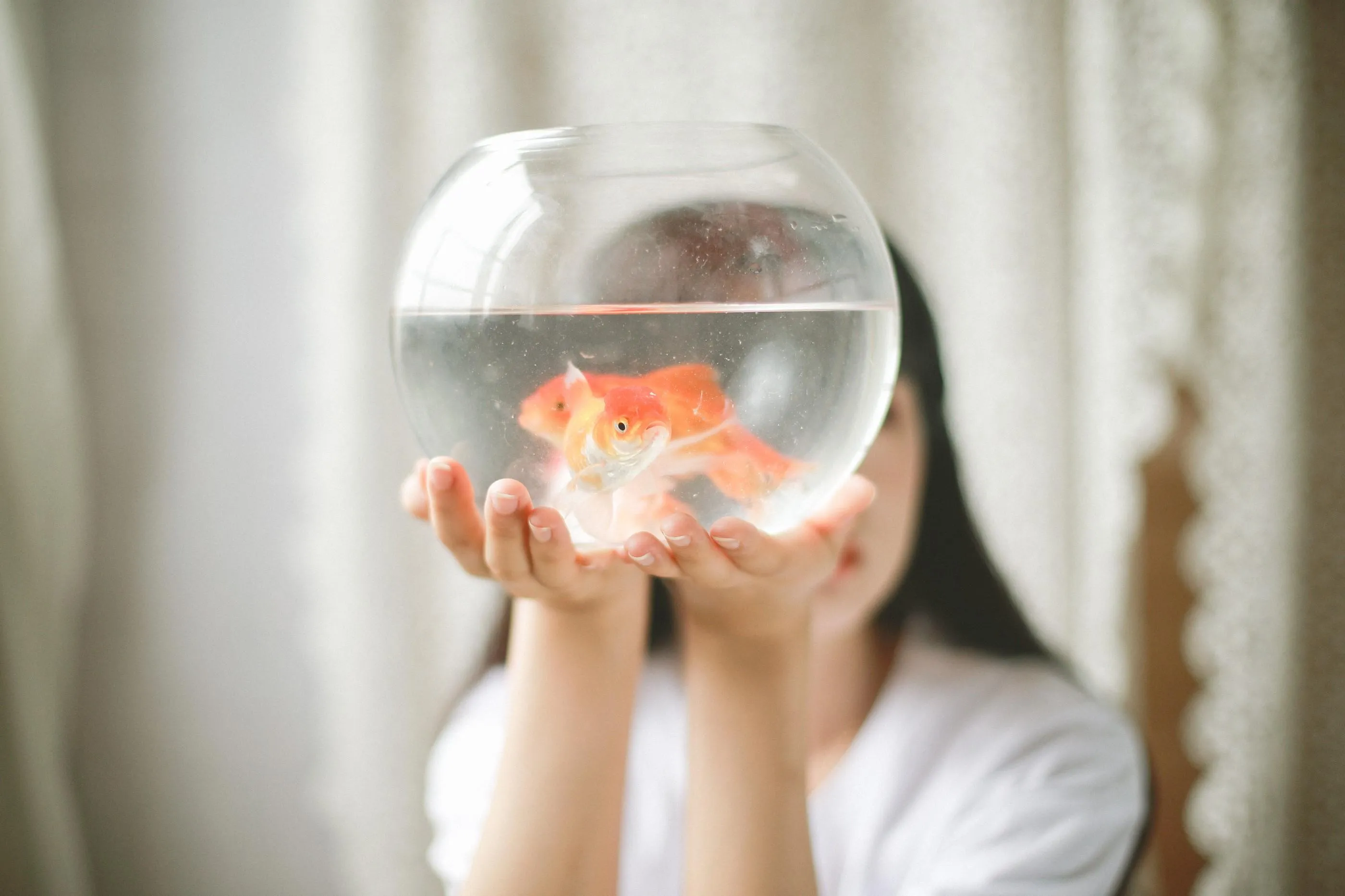 [YITUYU艺图语]2022.07.19 我与金鱼 菓菓-koko [32P]插图2